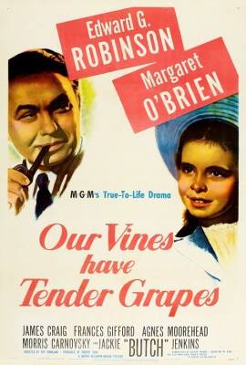 Our Vines Have Tender Grapes