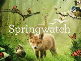 Springwatch