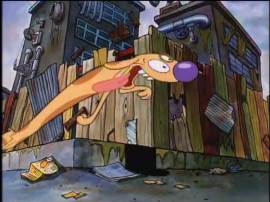 Dog Gone/All You Can't Eat