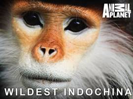 Wildest Indochina