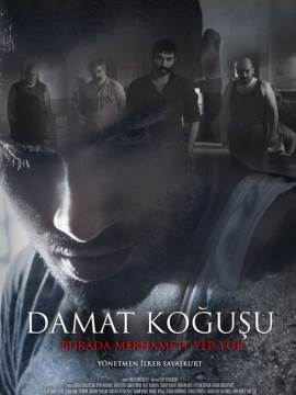 Damat Kogusu