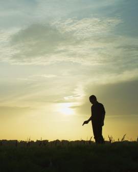 Lucero: Long Way Back Home