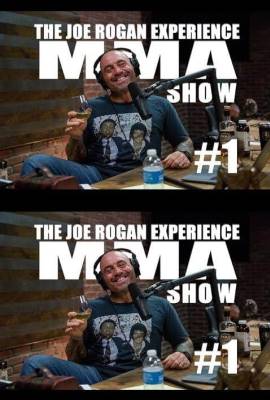 The Joe Rogan Experience: MMA Show