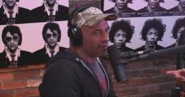 The Joe Rogan Experience: Fight Companion