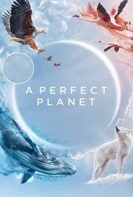 A Perfect Planet