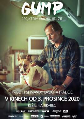 Gump - pes, který naucil lidi zít