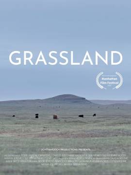 Grassland