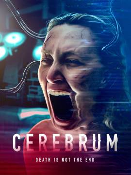 Cerebrum
