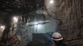 Back to Our Future Climate Restoration & Survival