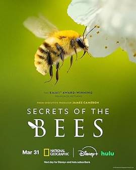 Secrets of the Bees
