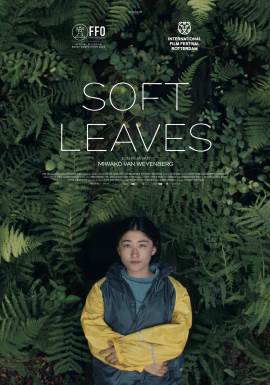 Soft Leaves
