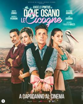 Dove osano le cicogne