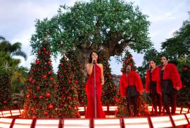 Disney Parks Magical Christmas Day Parade