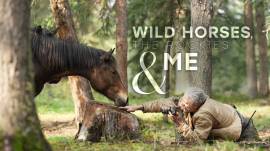 Wild Horses, the Rockies and Me