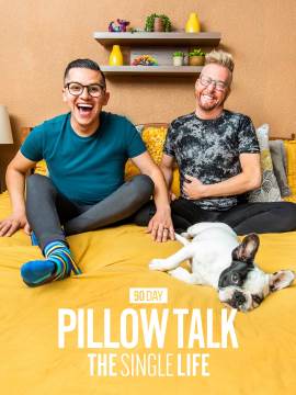 90 Day: The Single Life Pillow Talk