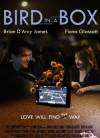 Bird in a Box